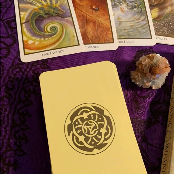 SOLD! Animals Divine Tarot Set Lisa Hunt RARE OOP 1st Edition 2nd Printing 2005 - Picture 6 of 8